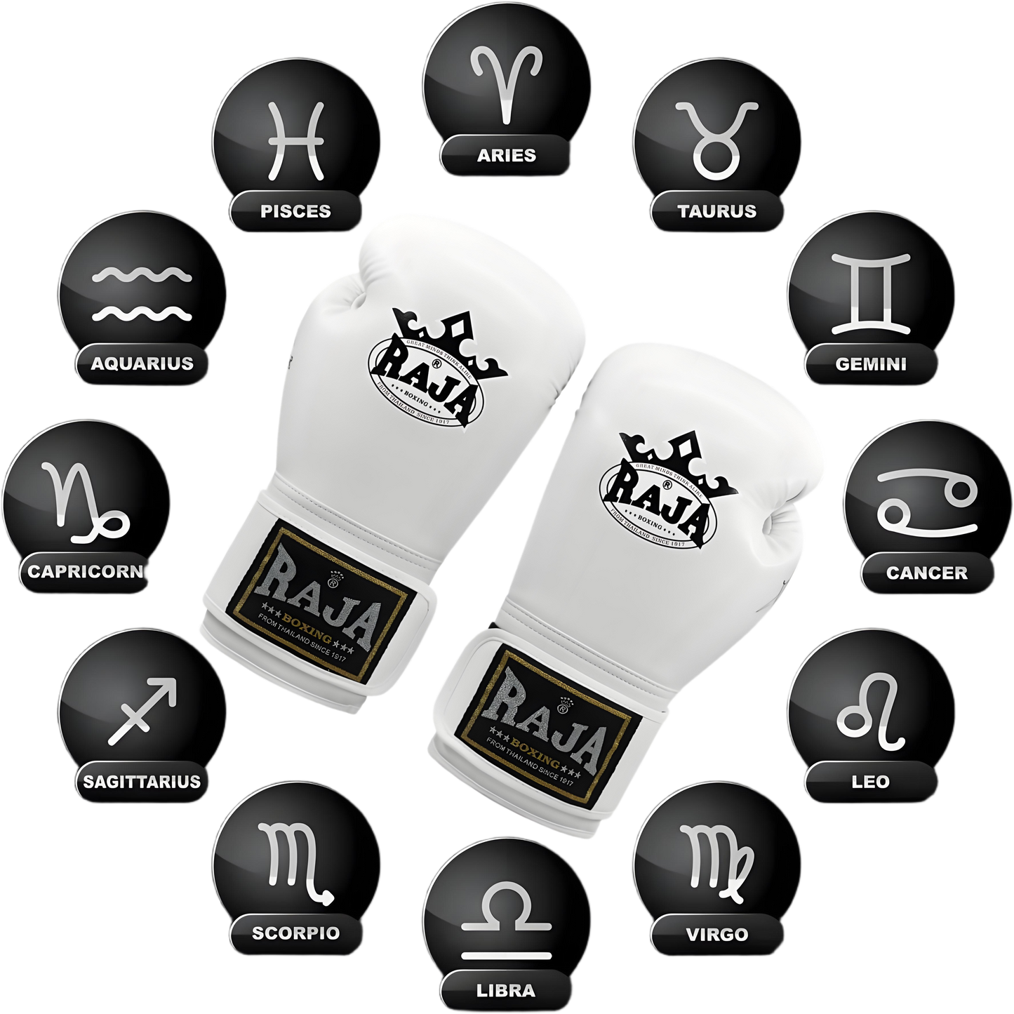 RAJA Boxing Gloves, Pro Training Sparring, Maya Hide Leather, Muay Thai MMA Kickboxing, Men Women Adult, Heavy Punching Bag Focus Mitts Pads Workout, Ventilated Palm, Multi Layered, 8 10 12 14 16 18 Oz