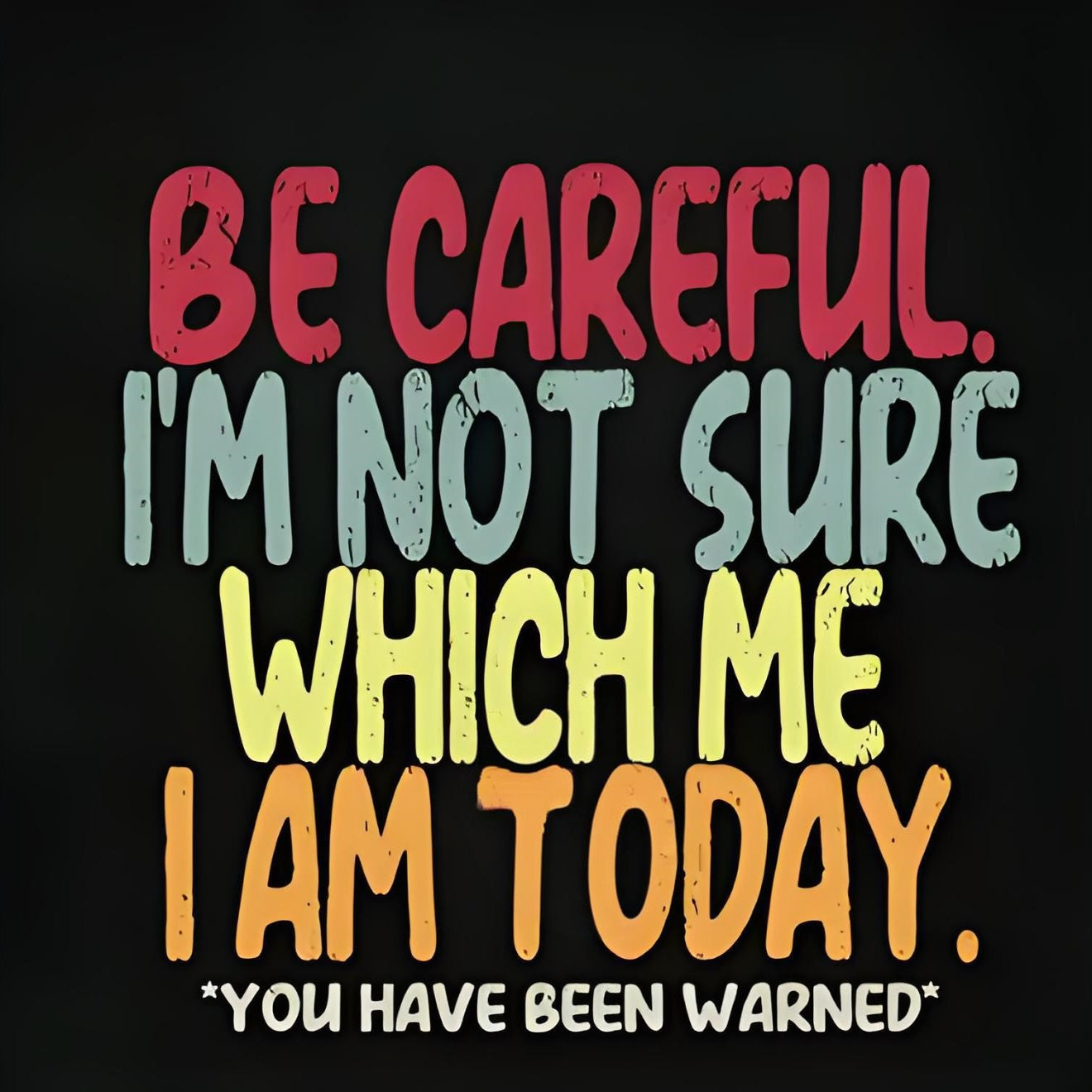 "BE CAREFUL I'M NOT SURE WHICH ME I AM TODAY" iron-on transfer