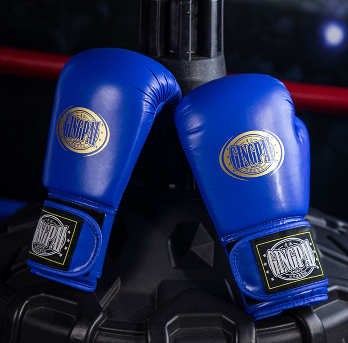 Pro Style Exercise Workout Training Boxing Gloves for Sparring, Heavy Bag and Mitt Work