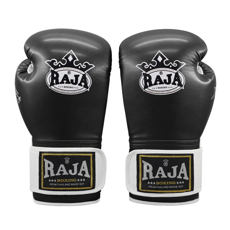 RAJA Boxing Gloves, Pro Training Sparring, Maya Hide Leather, Muay Thai MMA Kickboxing, Men Women Adult, Heavy Punching Bag Focus Mitts Pads Workout, Ventilated Palm, Multi Layered, 8 10 12 14 16 18 Oz