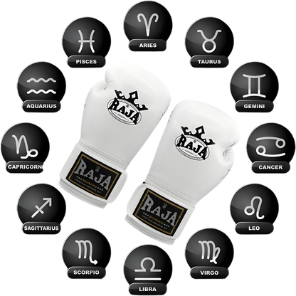 RAJA Boxing Gloves, Pro Training Sparring, Maya Hide Leather, Muay Thai MMA Kickboxing, Men Women Adult, Heavy Punching Bag Focus Mitts Pads Workout, Ventilated Palm, Multi Layered, 8 10 12 14 16 18 Oz