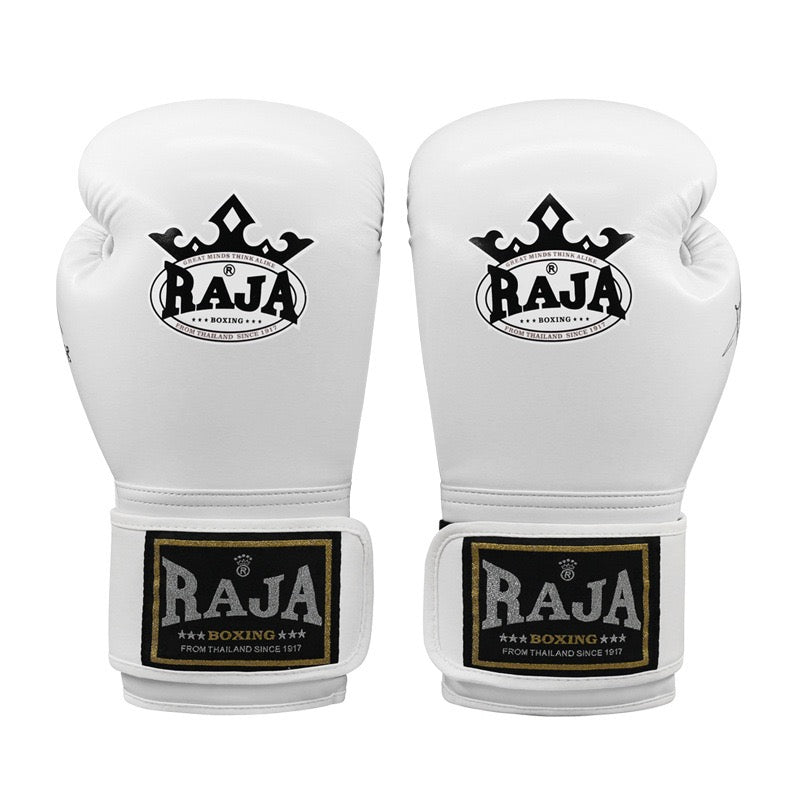 RAJA Boxing Gloves, Pro Training Sparring, Maya Hide Leather, Muay Thai MMA Kickboxing, Men Women Adult, Heavy Punching Bag Focus Mitts Pads Workout, Ventilated Palm, Multi Layered, 8 10 12 14 16 18 Oz